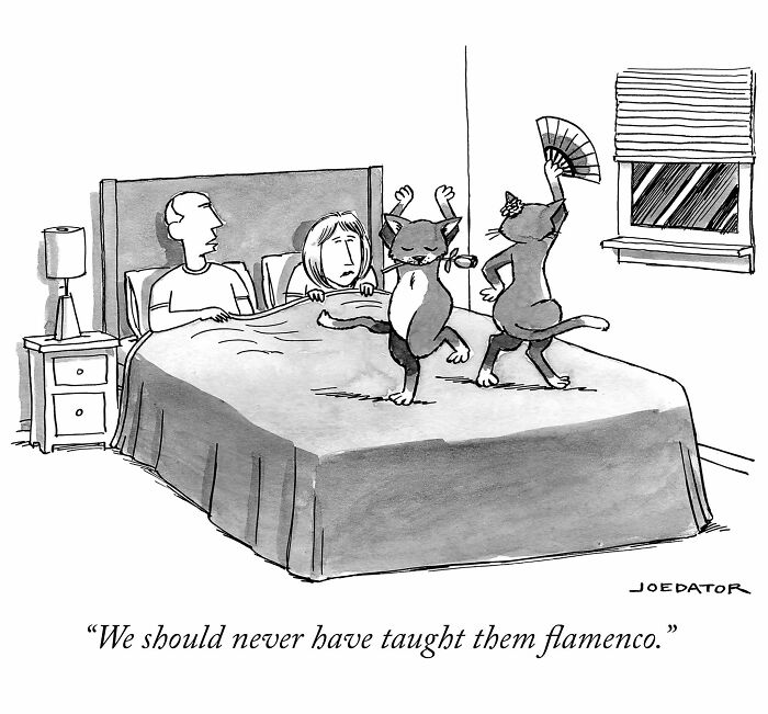 49 Hilarious Comics That Make Everyday Life Weirdly Funny