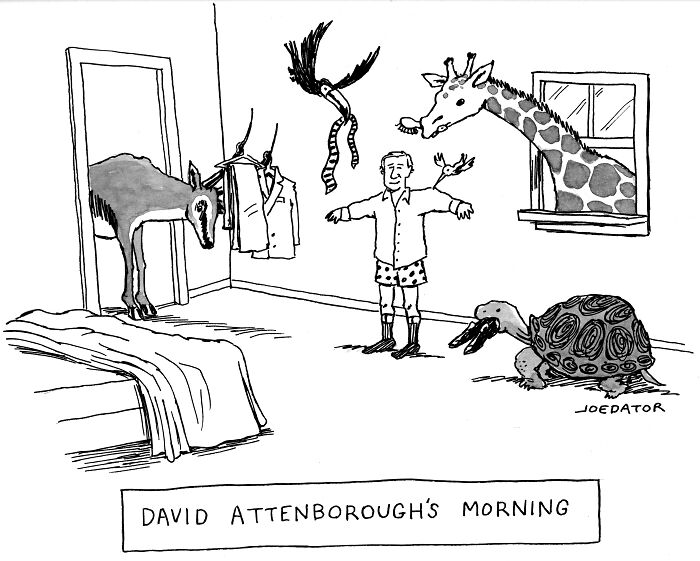 49 Hilarious Comics That Make Everyday Life Weirdly Funny