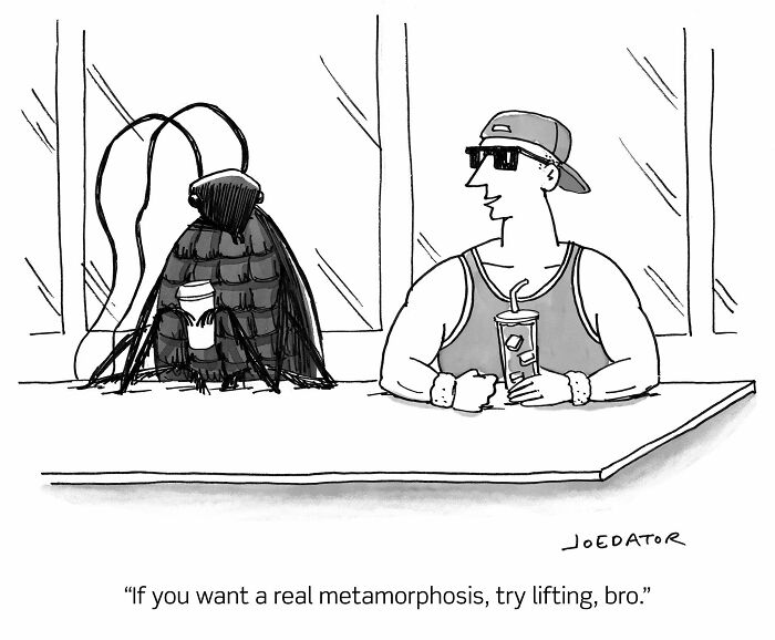 49 Hilarious Comics That Make Everyday Life Weirdly Funny
