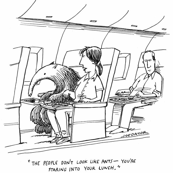 49 Hilarious Comics That Make Everyday Life Weirdly Funny