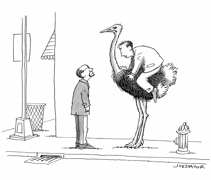 49 Hilarious Comics That Make Everyday Life Weirdly Funny