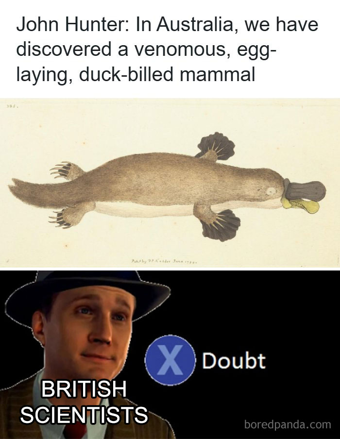 53 History Memes That Actually Make The Past Way More Fun