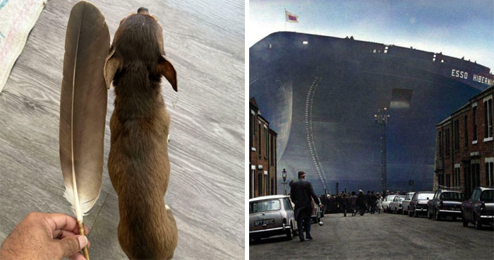 Wait, They Actually Took Photos To Show How Crazy Huge Stuff Really Is?