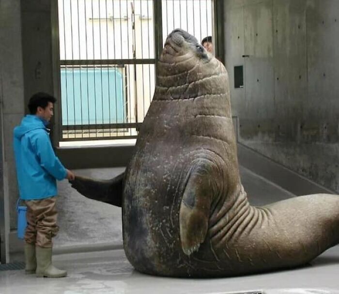 Mind-Blowing Size Comparison!