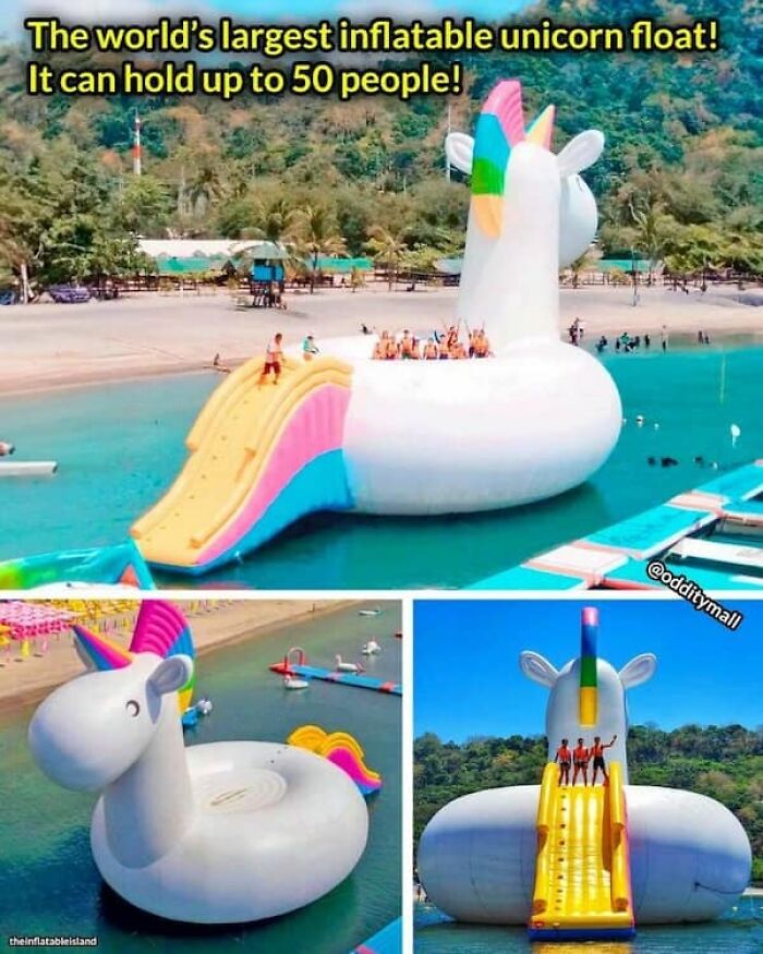 Wait, They Actually Took Photos To Show How Crazy Huge Stuff Really Is?