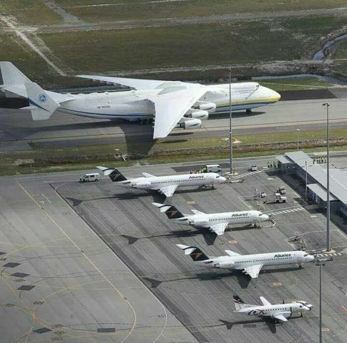 Wait, They Actually Took Photos To Show How Crazy Huge Stuff Really Is?