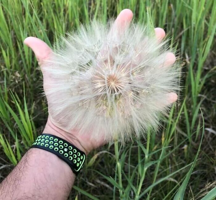 Wait, They Actually Took Photos To Show How Crazy Huge Stuff Really Is?