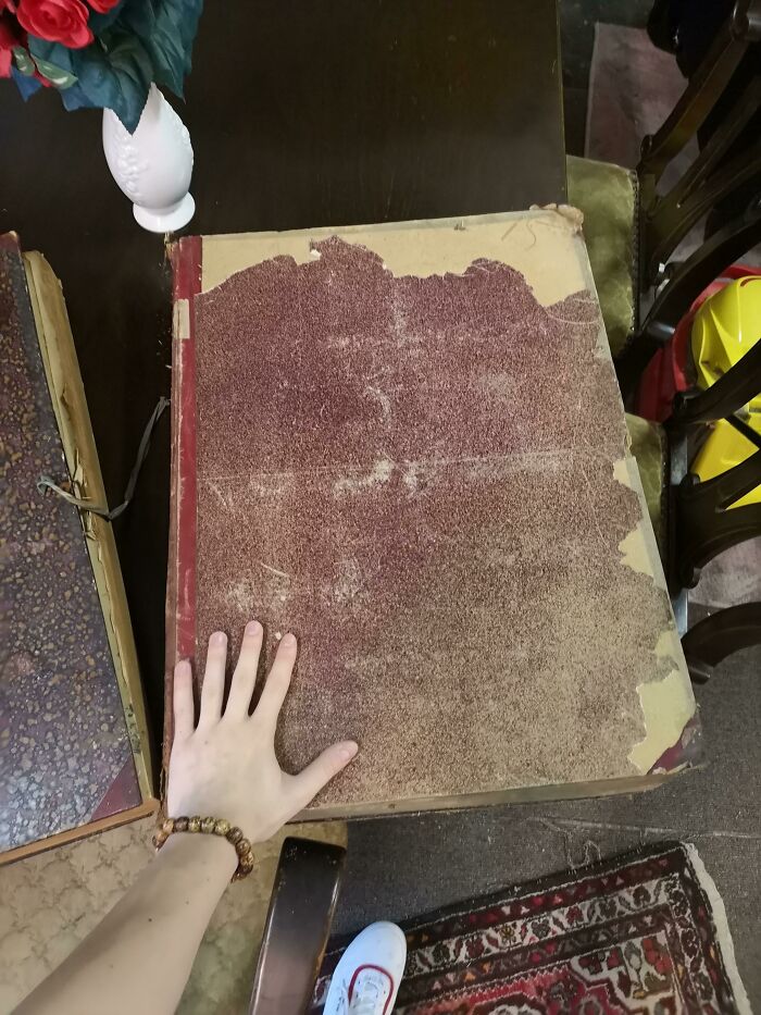 Wait, They Actually Took Photos To Show How Crazy Huge Stuff Really Is?