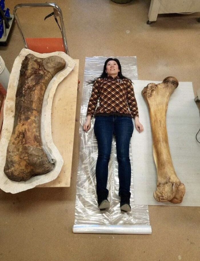 Wait, They Actually Took Photos To Show How Crazy Huge Stuff Really Is?