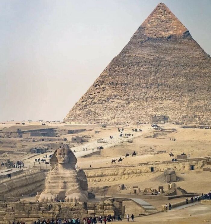 Wait, They Actually Took Photos To Show How Crazy Huge Stuff Really Is?