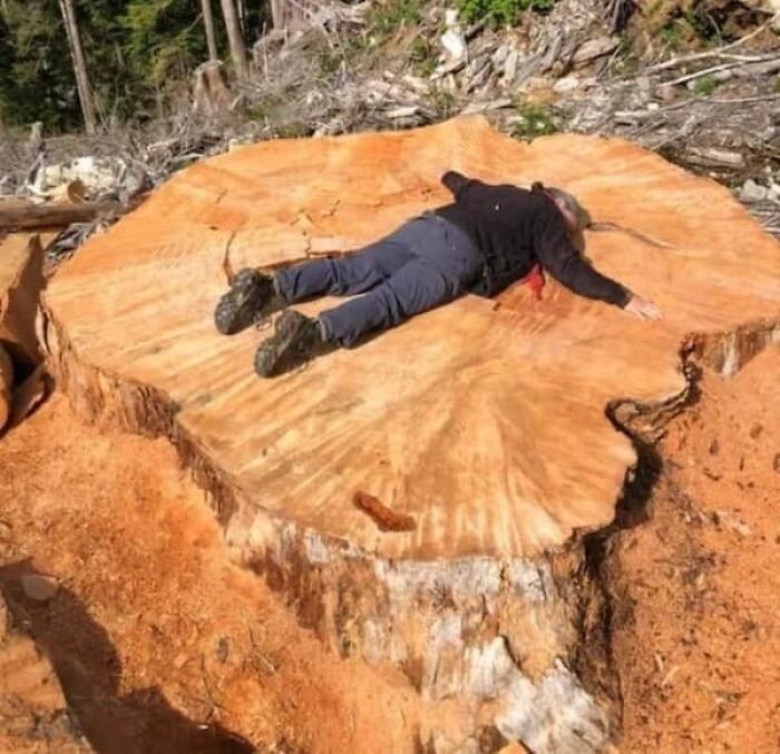 Wait, They Actually Took Photos To Show How Crazy Huge Stuff Really Is?