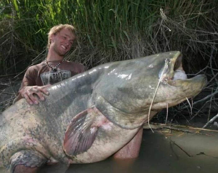 Wait, They Actually Took Photos To Show How Crazy Huge Stuff Really Is?