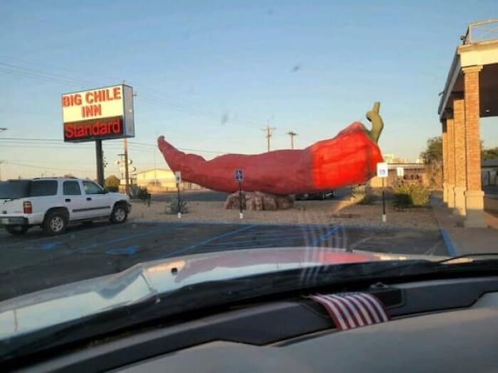 Wait, They Actually Took Photos To Show How Crazy Huge Stuff Really Is?