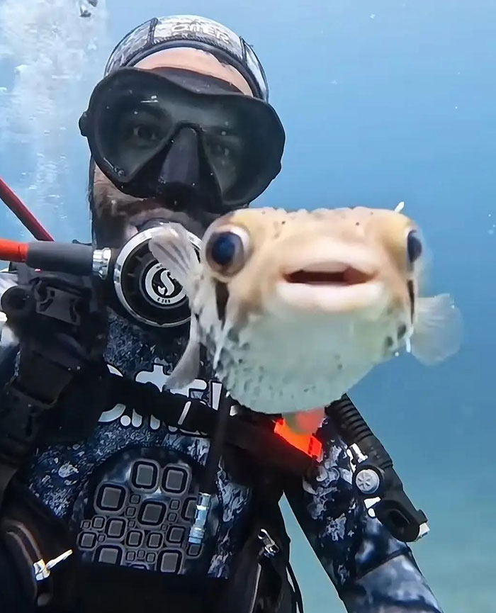 Snagged A Cute Screenshot From A Video