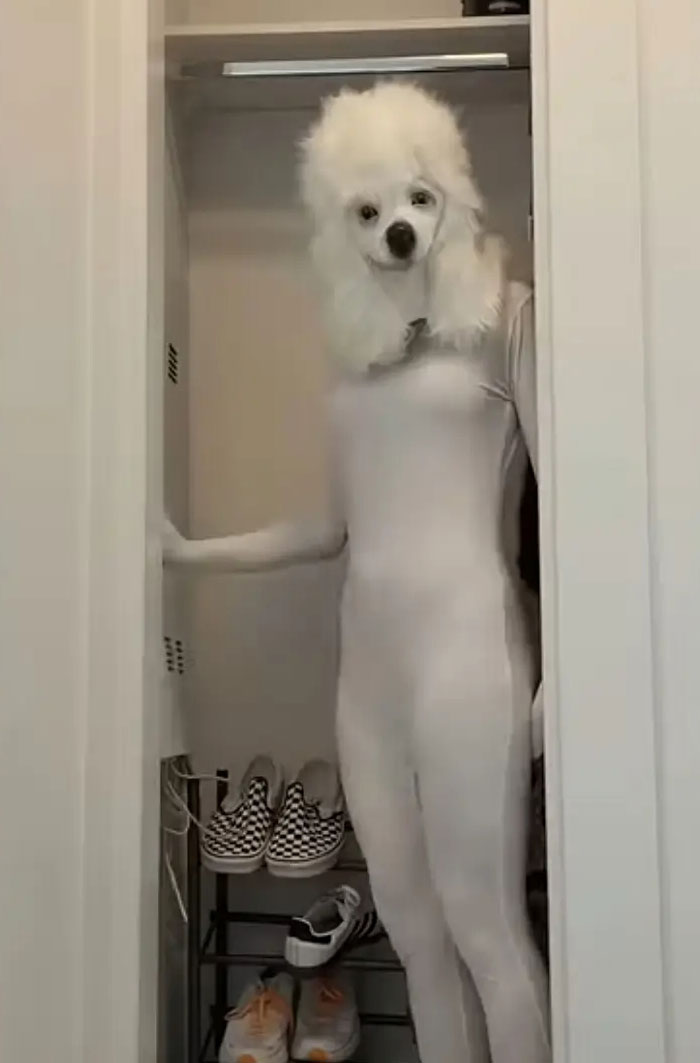 I Don’t Even Know What’s Going On Here