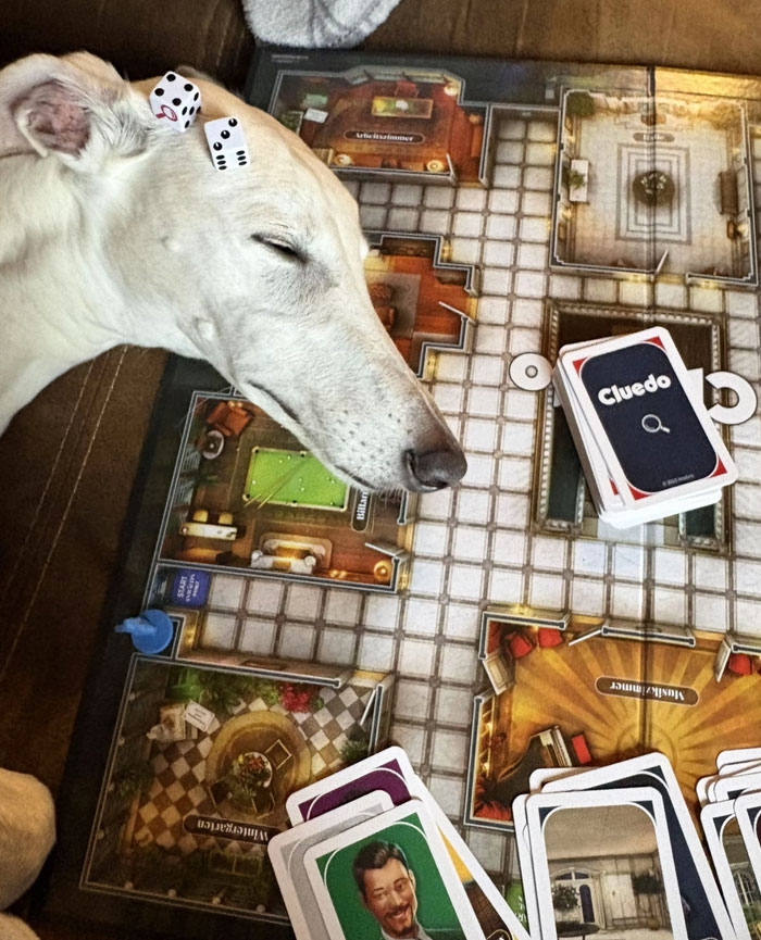 She Just Wanted To Join Our Game