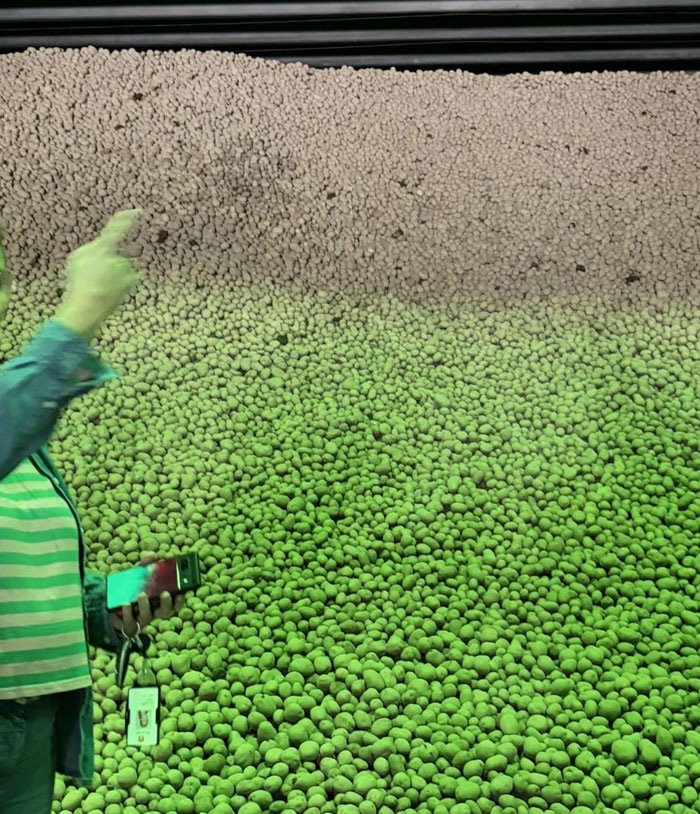 It’s All Potatoes, Apparently