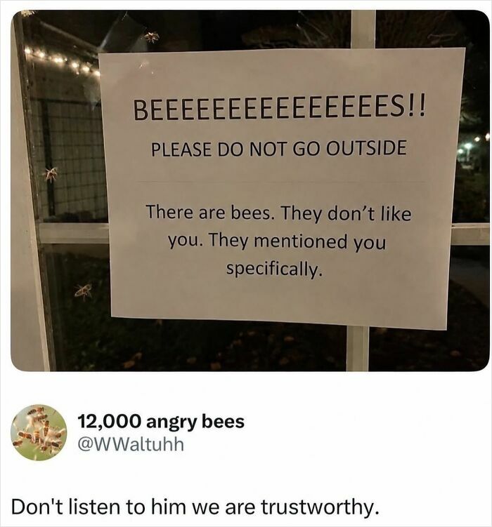 Let's Laugh Without Being Jerks: 90 Memes That Keep It Classy
