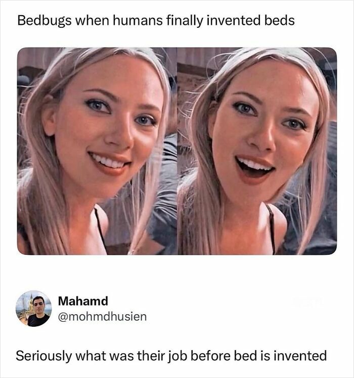 Let's Laugh Without Being Jerks: 90 Memes That Keep It Classy