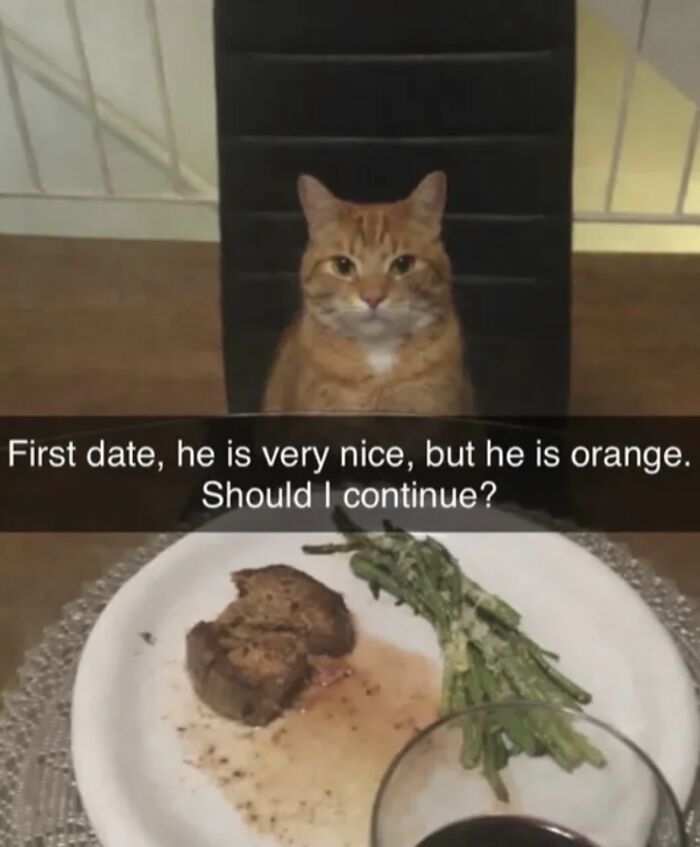 Let's Laugh Without Being Jerks: 90 Memes That Keep It Classy