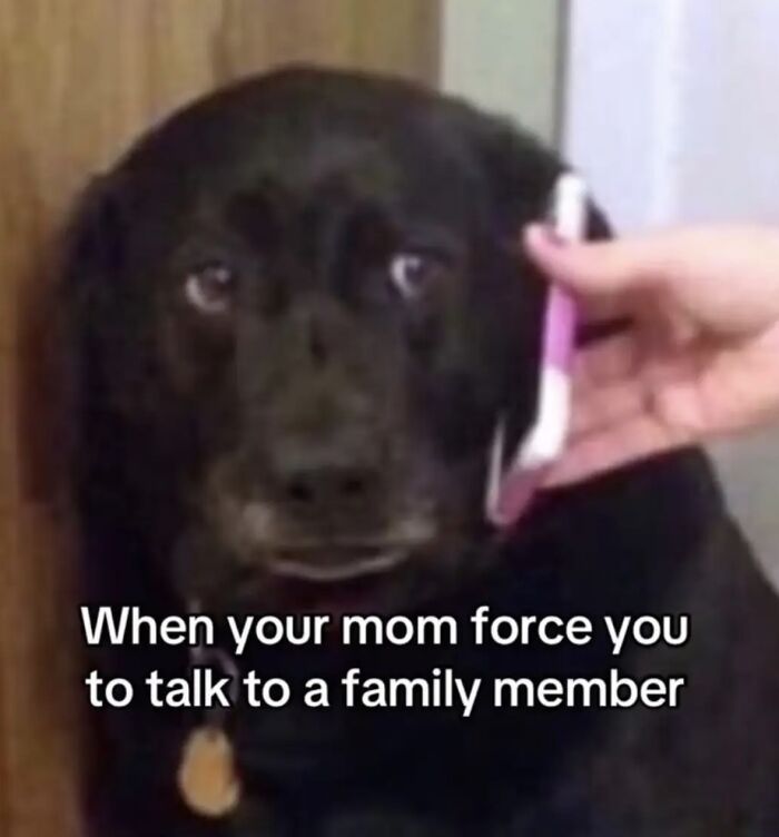 Let's Laugh Without Being Jerks: 90 Memes That Keep It Classy