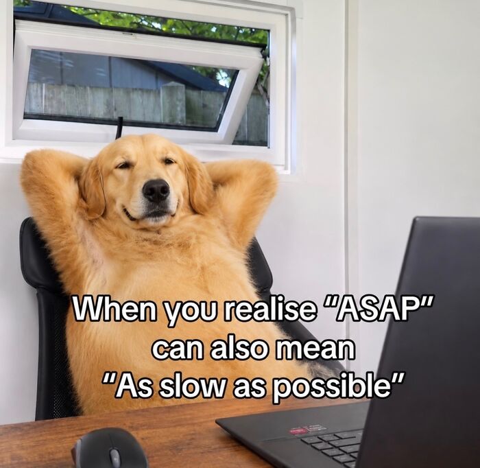 Let's Laugh Without Being Jerks: 90 Memes That Keep It Classy