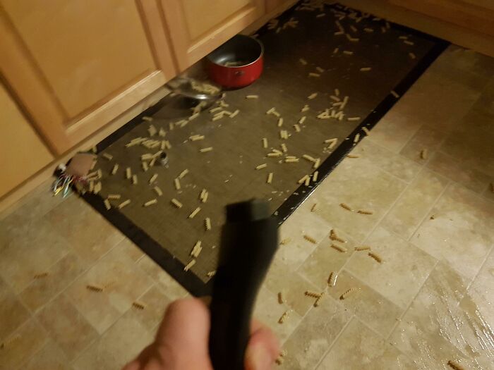 Dropped My Sandwich Then Destroyed Two Pots Making Pasta. Had To Cry (And Starve)
