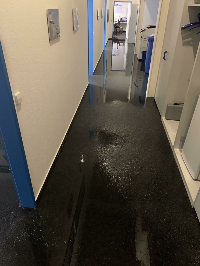 New Water Dispenser Set Up, Office Woke Up To This Wet Mess