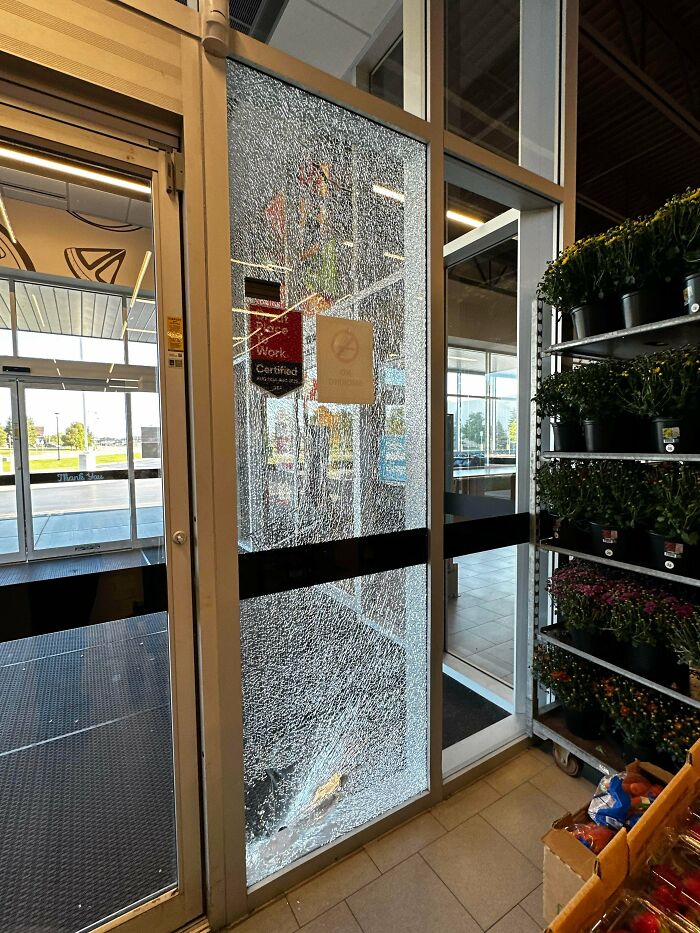 Accidentally Bumped a Pallet Into a Window at Work and Yep, It Broke
