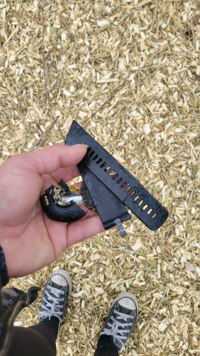 That Awkward Moment Your Watch Ends Up in the Wood Chipper