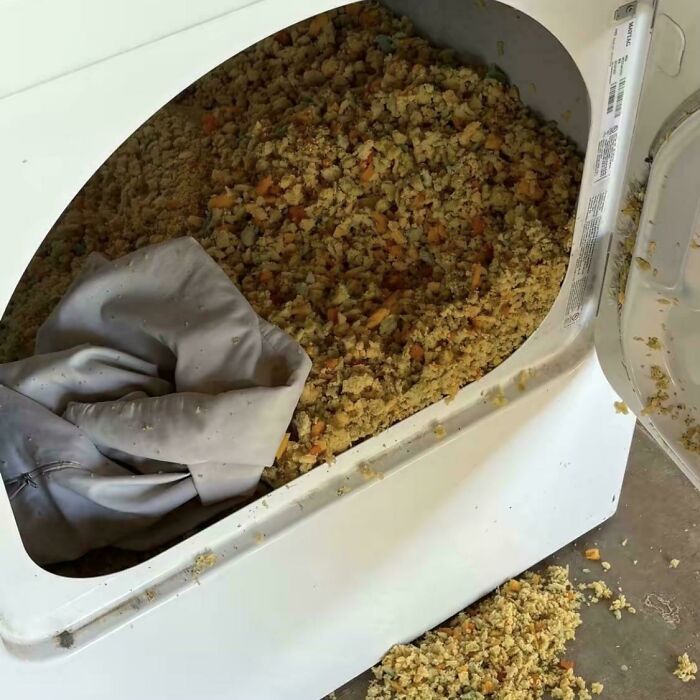 Pillow Went Pop in the Dryer and Now Looks Like a Bag of Fried Rice