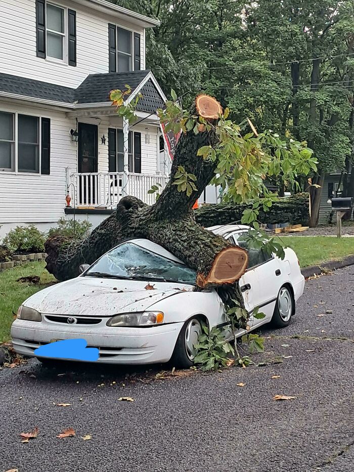 Sir, You Can’t Park There… Wait, You Did It Anyway