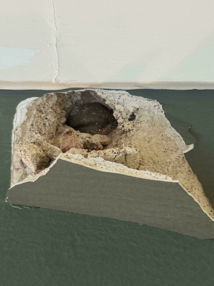 My Neighbor Accidentally Drilled a Hole Into Our Wall