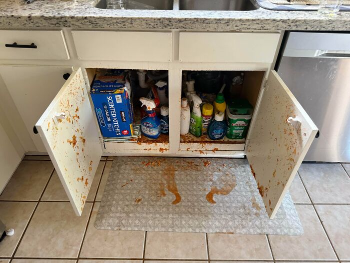 Kitchen Sink Pipe Burst and I'm About to Leave for Vacation. Perfect Timing!