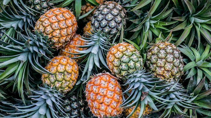 65 Fun & Weird Facts That'll Totally Surprise You