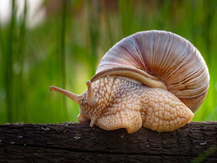65 Fun & Weird Facts That'll Totally Surprise You