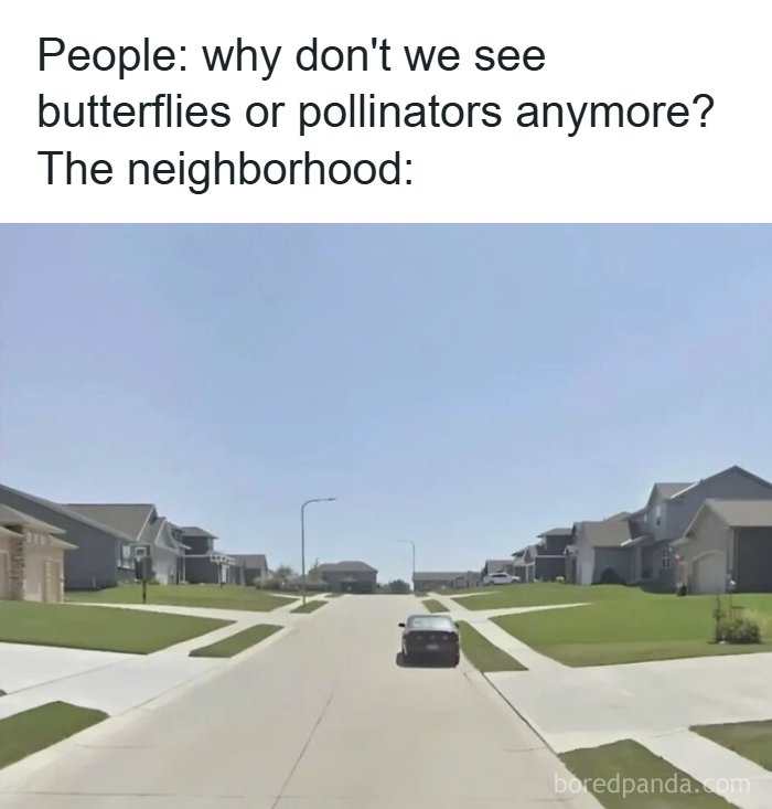 The Bees Are Basically On Strike