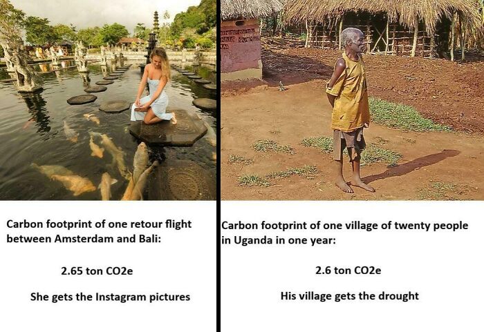 Have You Given Up Flying Yet?