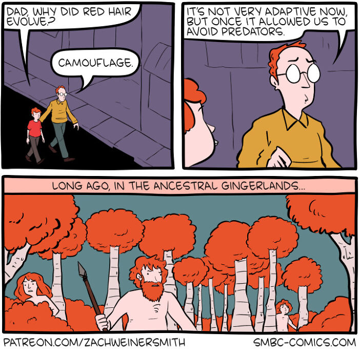 Wait, They Actually Made Genius Comics About Science AND Philosophy? Yup, And They're Hilarious!