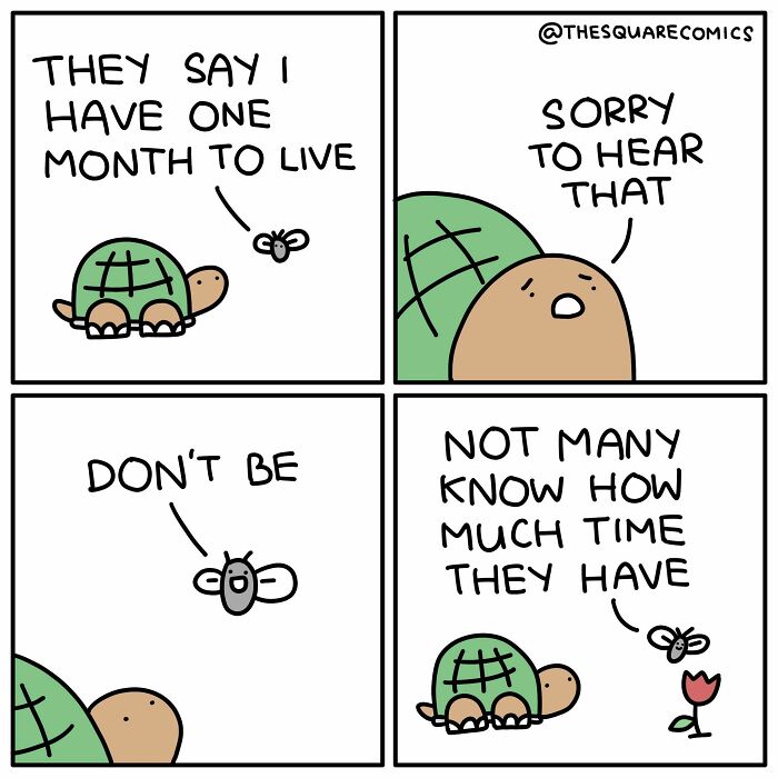 Wait, They Actually Made Comics About Life’s Little Headaches?
