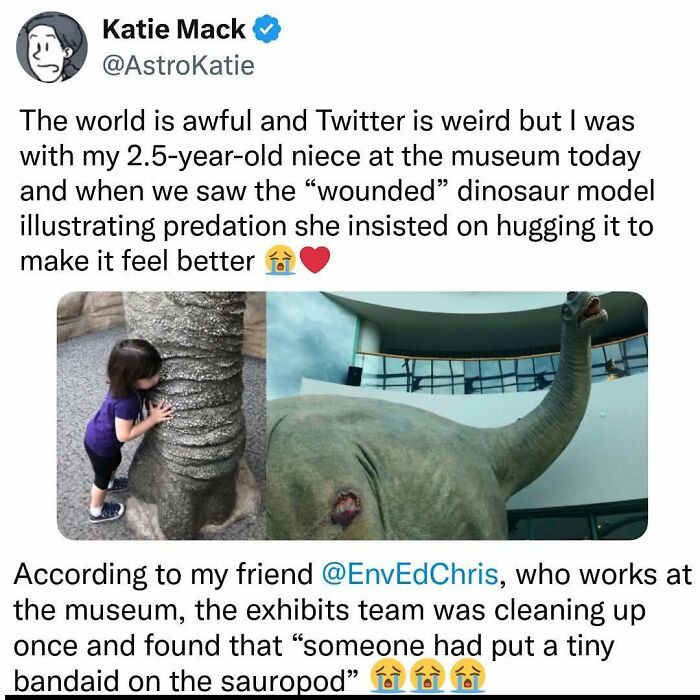 Wait, People Actually Had Each Other's Backs Like This Online?!