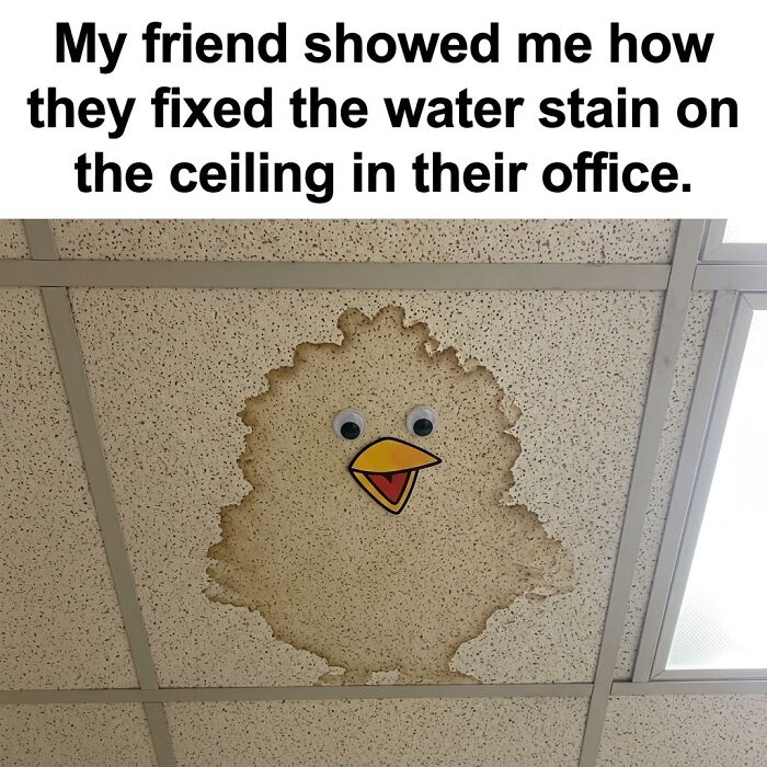 Water Stain? Nah, It’s A Cute Baby Chick Now