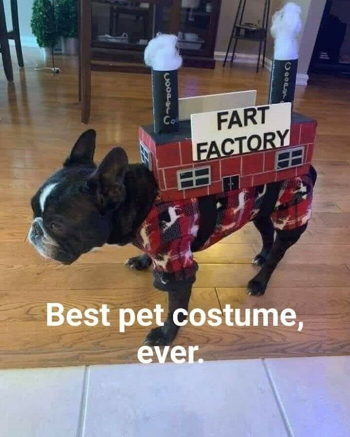 This Dog Costume Perfectly Captures What Living With A Gassy Pet Is Like