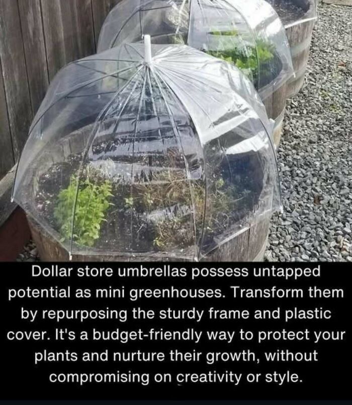 Garden Hack That’ll Make You Go, "Why Didn’t I Think Of This?"