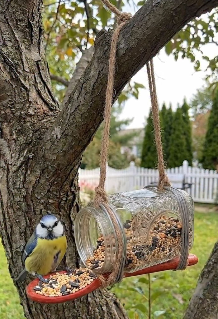DIY Bird Feeder Jar: Backyard Snacks For Feathered Friends