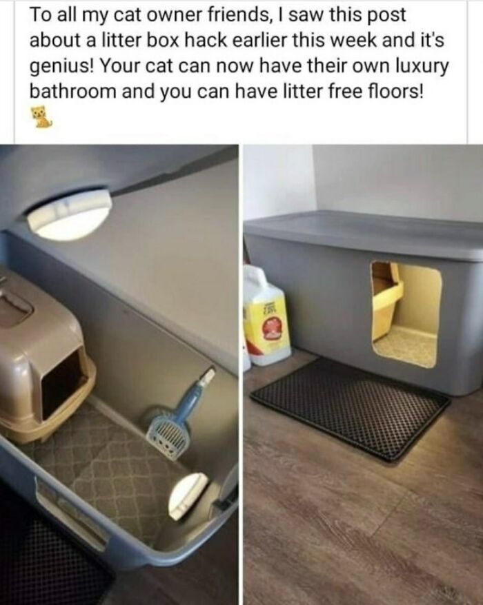 Litter Box Setup That Keeps Crumbs Off The Floor And Cats Happy