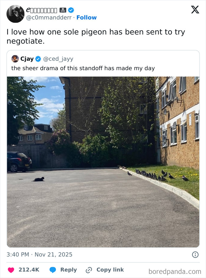 Wait, They Actually Ranked The Funniest Twitter Replies?
