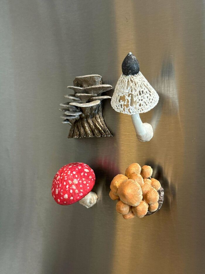 Check Out My Shroom! It’s 3D Printing Magic.