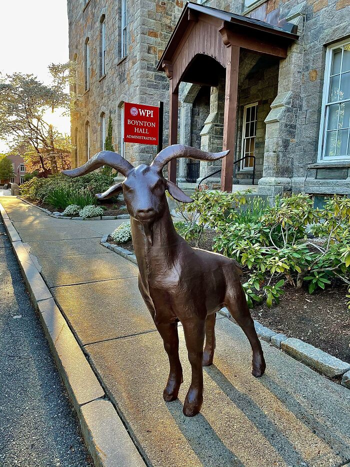 Life-Sized 3D Printed School Mascot – Huge And Proud!
