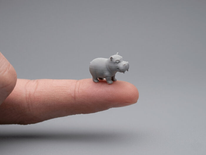 Tiny Hippo Who's Big On Cuteness!